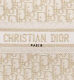 Small Dior Book Tote