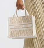 Small Dior Book Tote