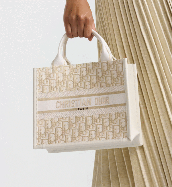 Small Dior Book Tote