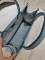 Dioriviera Book Tote Bag in Medium Size