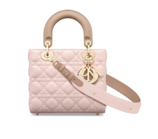 Small Lady Dior My ABCDior Bag