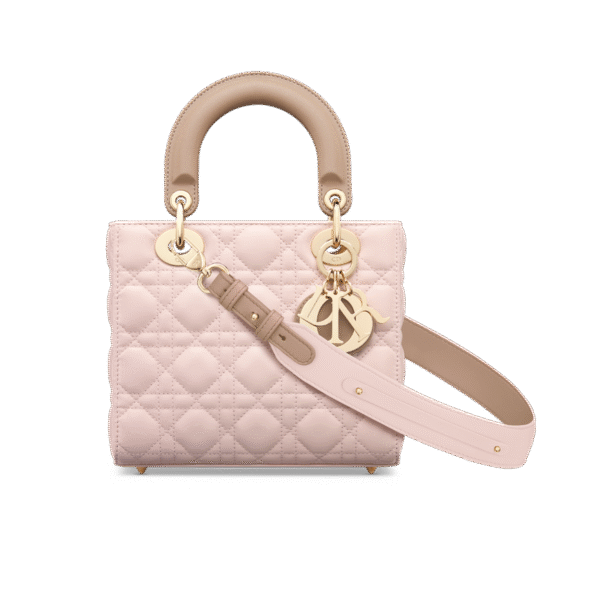 Small Lady Dior My ABCDior Bag