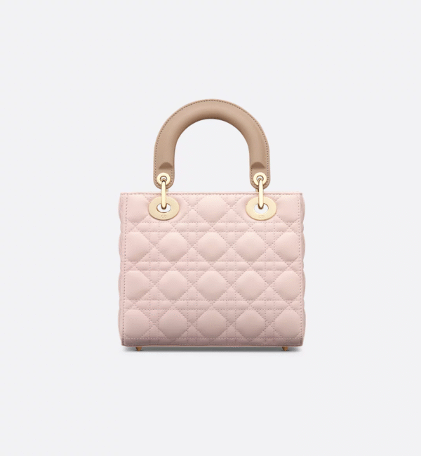 Small Lady Dior My ABCDior Bag