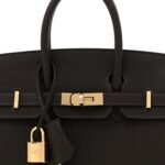 Togo Birkin 25 Bai Brun
